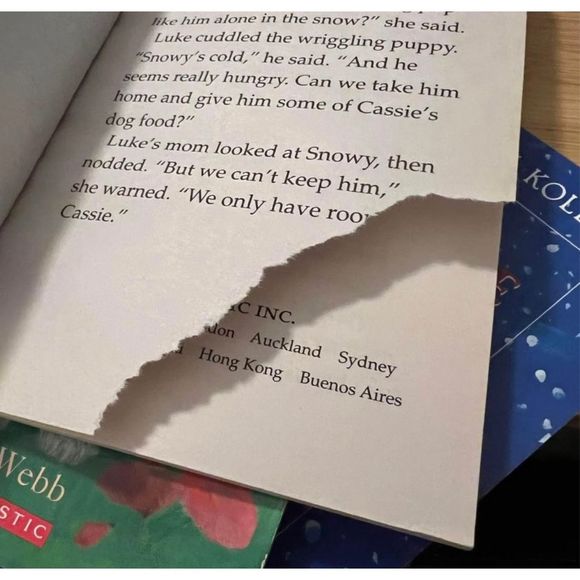 Kid’s Chapter Book Lot Set Of‎ 5 Paperback Books About Dogs Pets - Picture 10 of 10